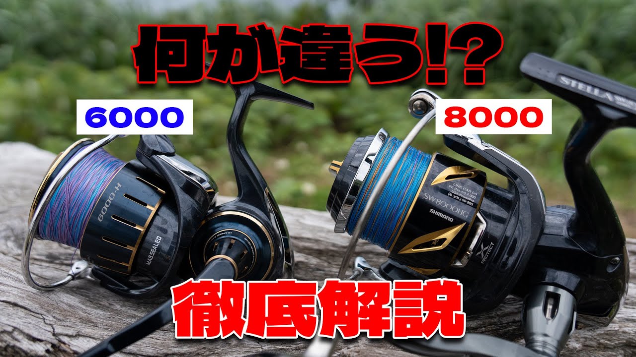 6000 vs 8000] How to choose the best reel for serious shore