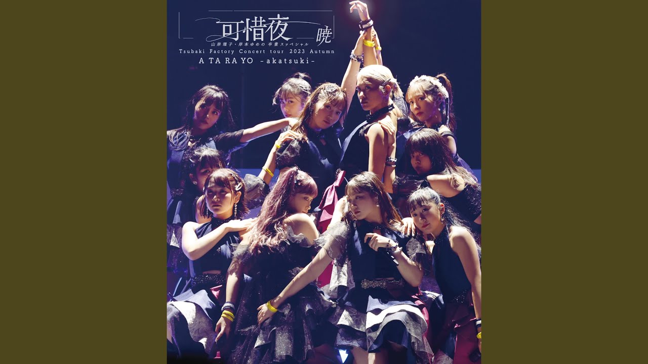 DVD『つばきファクトリー 河西結心・八木栞バースデーイベント2024