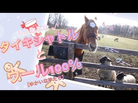 Mofumofu Taiki Shuttle and 100% Wool] Photographed at Versailles