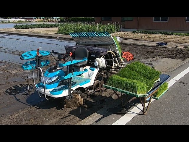 4条植田植え機 外周2回周りクボタSPU45P L型田んぼ 田植えの