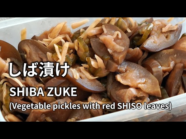 SHIBA ZUKE (Vegetable pickles with red SHISO leaves) - YouTube
