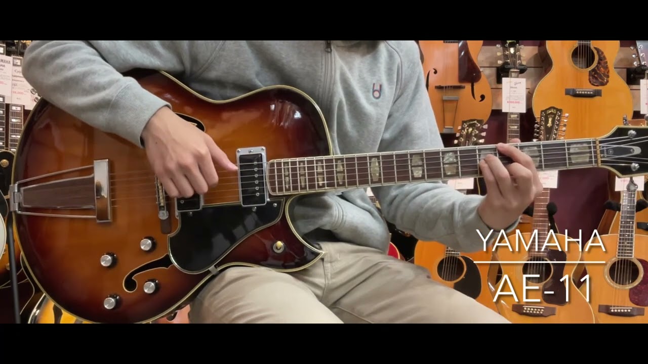 ヴィンテージ ヤマハ AE-11 yamaha フルアコ 中古/動画あり】YAMAHA AE