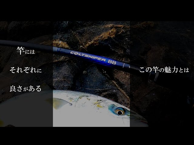 Colt Sniper BB (S100MH-3) Koshikijima Islands Rock Shore - YouTube