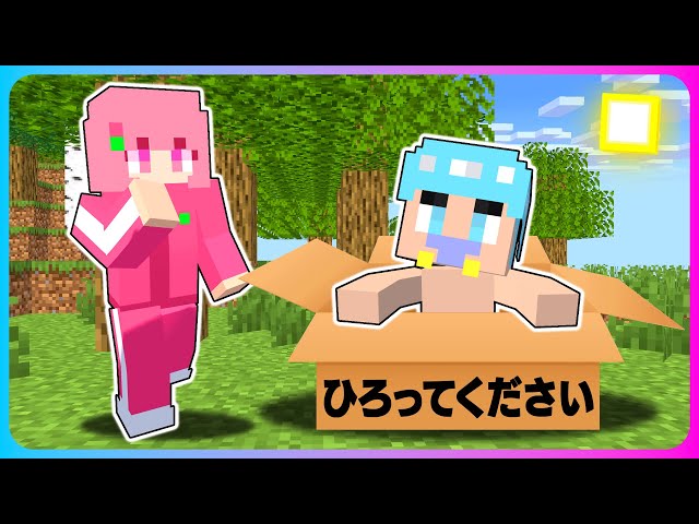 道に男の子が捨てられてるマインクラフト👶🗑【マイクラ / Minecraft