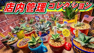 Introducing the first team] Let's take some photos of the cool