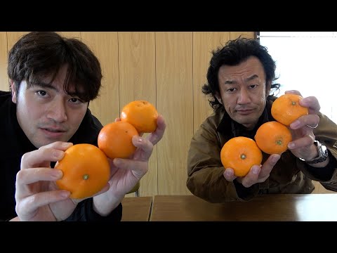 Otoro Citrus] Is Setoka really Otoro? [Carmen-kun] [Mikan