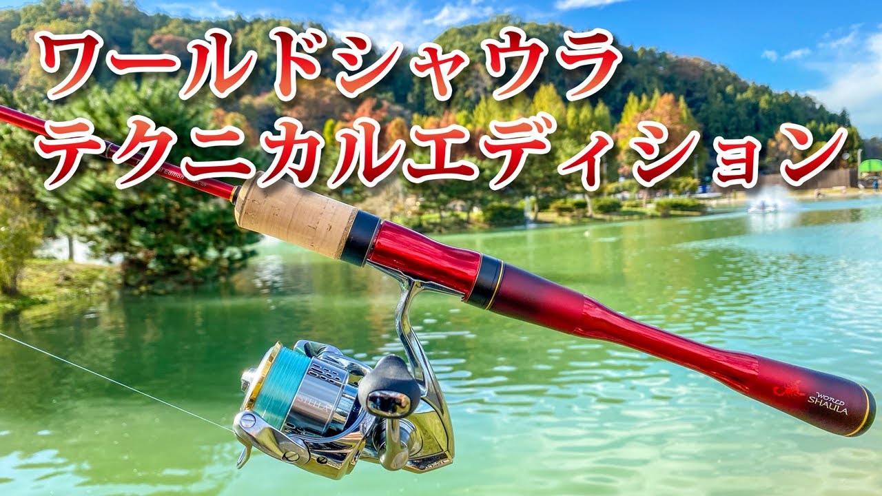 ワールドシャウラ テクニカルエディション S66UL-2/F』をレビュー