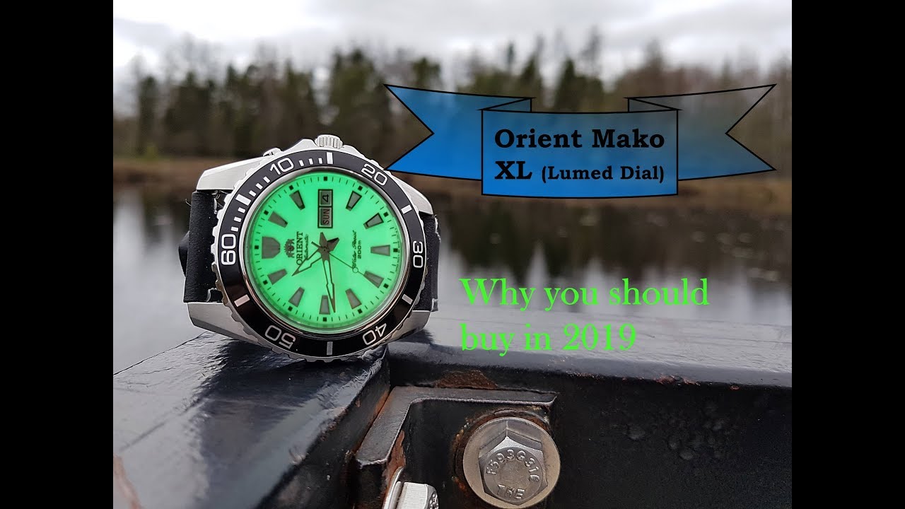Orient Mako XL (Full lume dial) - Why you should buy this watch in