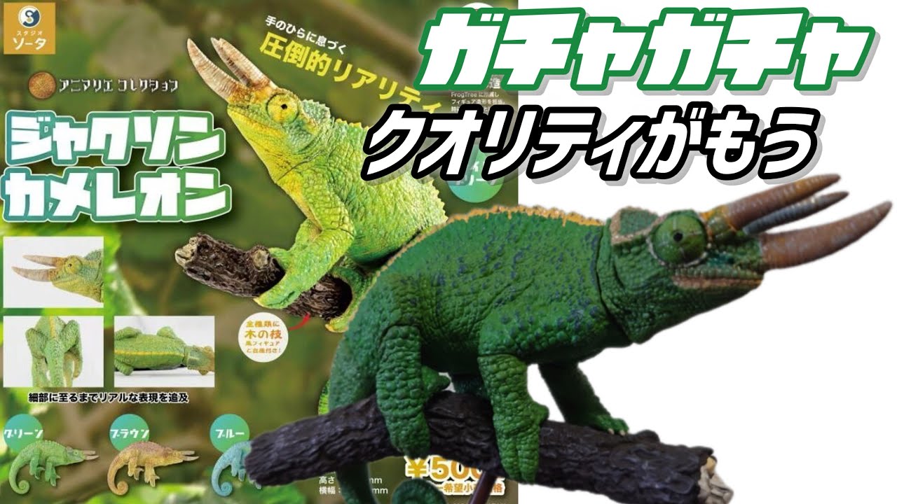 ガチャガチャ】アニマリエコレクション『ジャクソンカメレオン』【圧倒