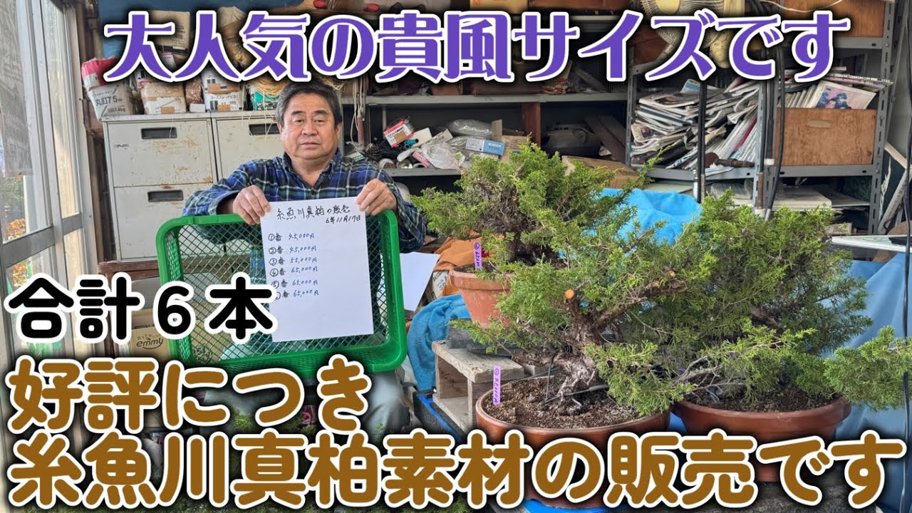 Sold out [Special Edition] Second time: Due to popular demand, we