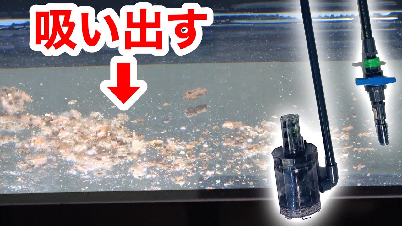 The strongest drainage system that finishes cleaning feces in an