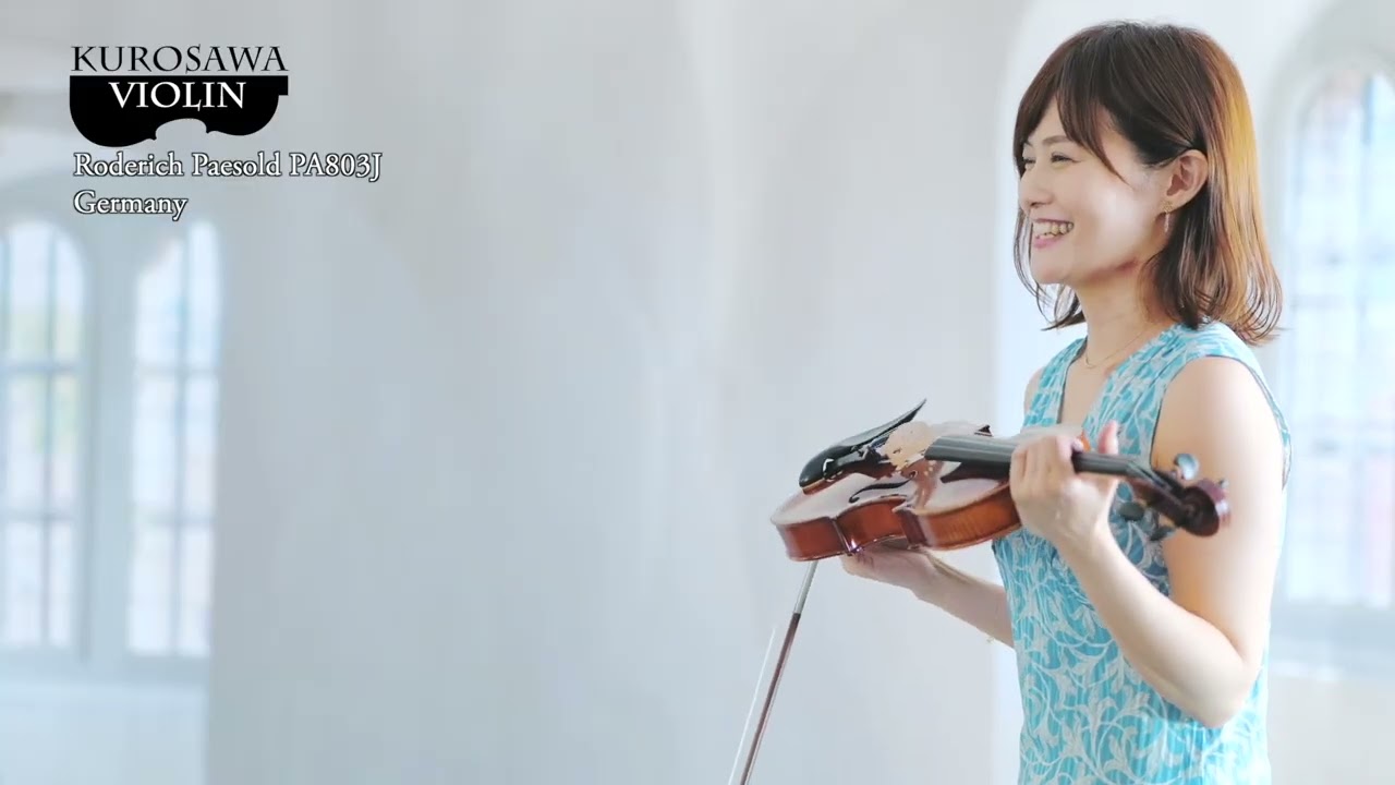 Roderich Paesold PA803J (ローデリヒ・ペゾルト PA803J) バイオリン