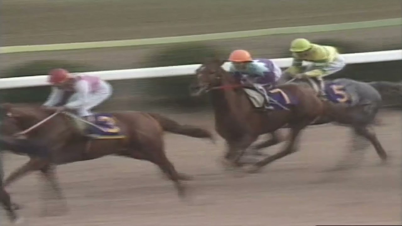 1977年 有馬記念 テンポイントvsトウショウボーイvsグリーングラス