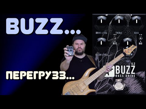 Обзор Shift Line A+ Buzz V.2 - отличный басовый перегруз