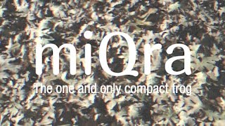 H*読様 ディープフォレスト ミクラ オリカラ&トリニダのセット H*読様