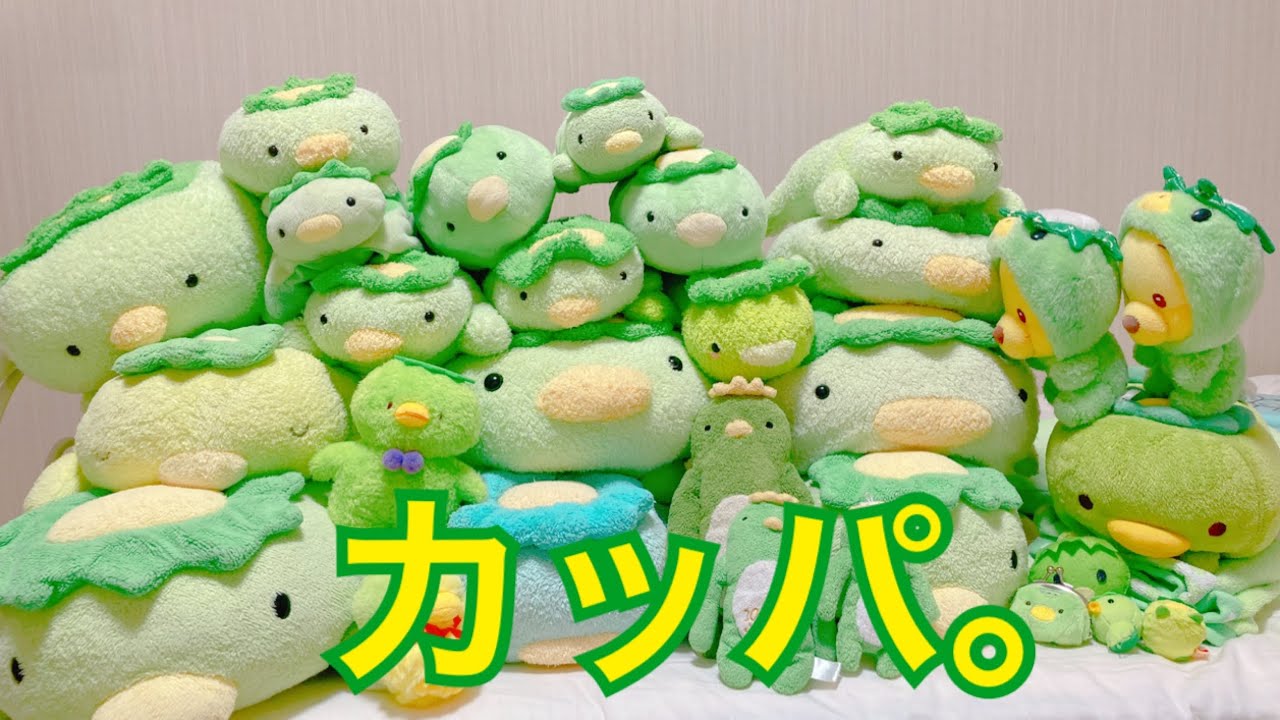 うちにいるカッパ達をご紹介！ - YouTube