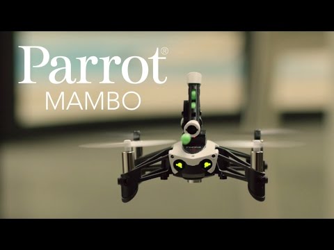Parrot MAMBO - Official Video - YouTube