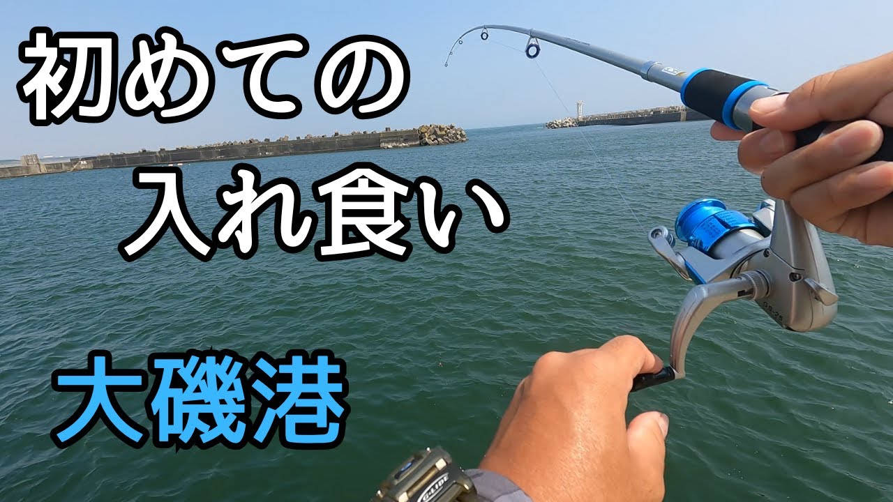 大磯港】釣り初心者がまさかの入れ食いに！？【2025年8月4日】 - YouTube