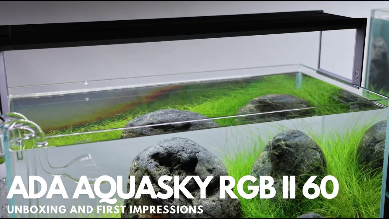 ADA AQUASKY RGB II 60 - Unboxing and First Impressions - YouTube