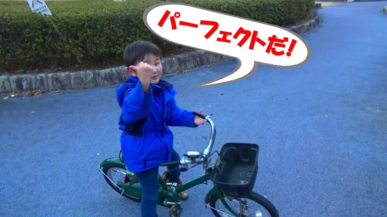 sanny子供用自転車になります。ほとんど使わず倉庫に保管してました