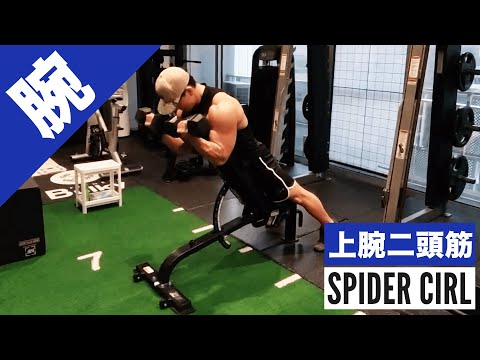 上腕二頭筋を鍛える『スパイダーカール』の正しいフォーム・やり方をご