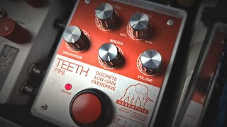 JustPerfection.- Horrothia TEETH Low Gain Overdrive/Preamp