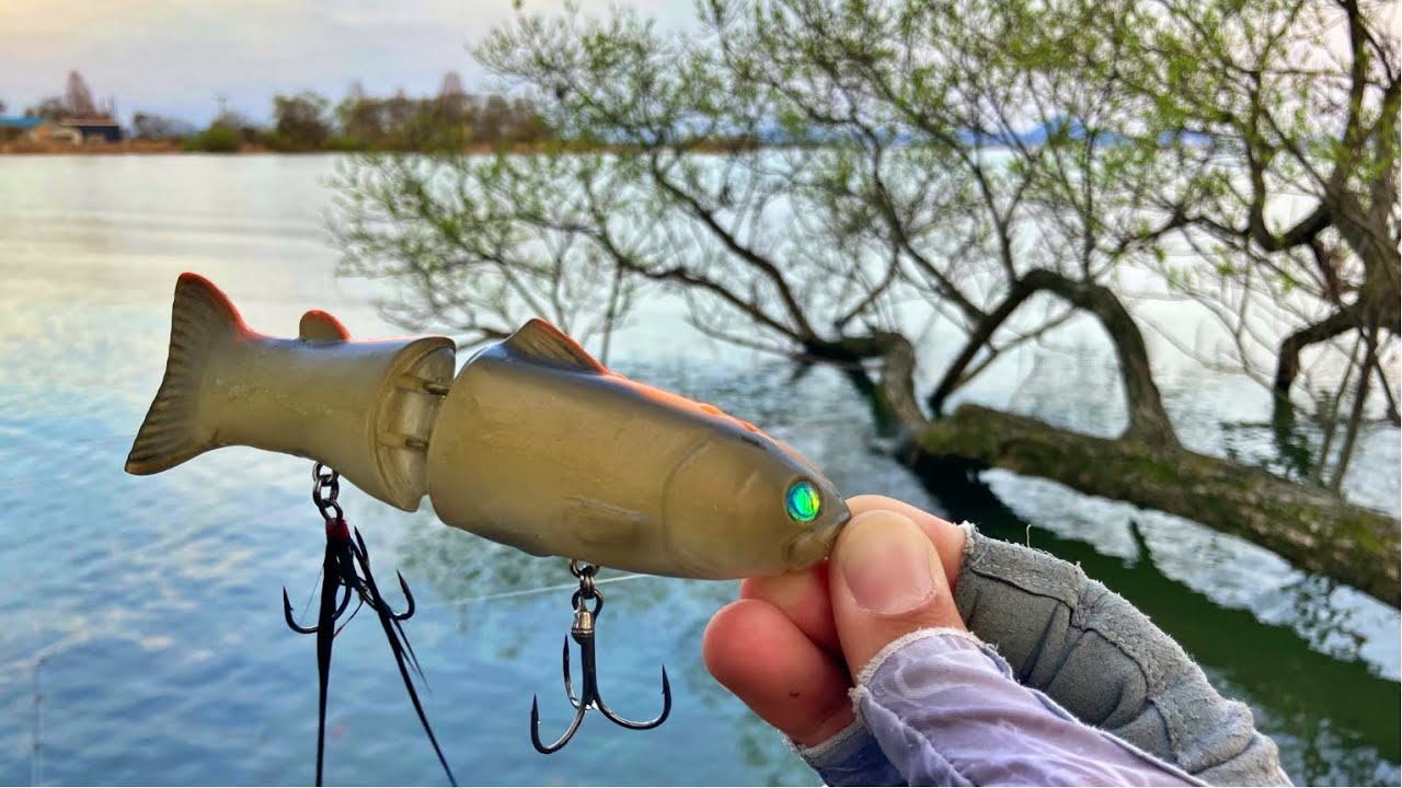 バス釣り】新しい場所でタイニークラッシュとスライドスイマー145改を