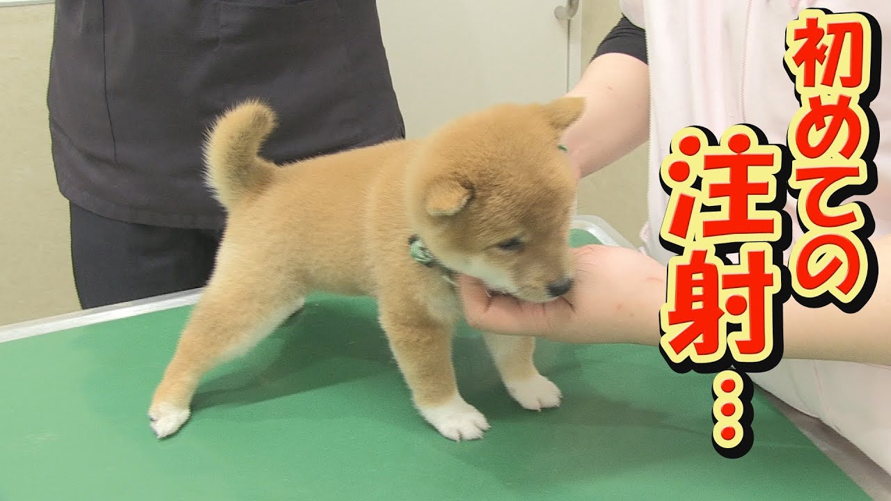 日展作家アトリエインタビュー】第4科 工芸美術 伊藤裕司 - YouTube