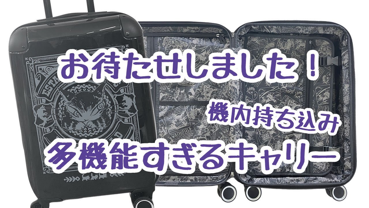 ダヤン】お待たせしました☆機能満載のハードキャリーが登場です！機内