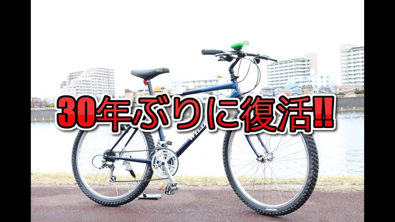 30年前のマウンテンバイクを手に入れた！ブリヂストン ワイルド