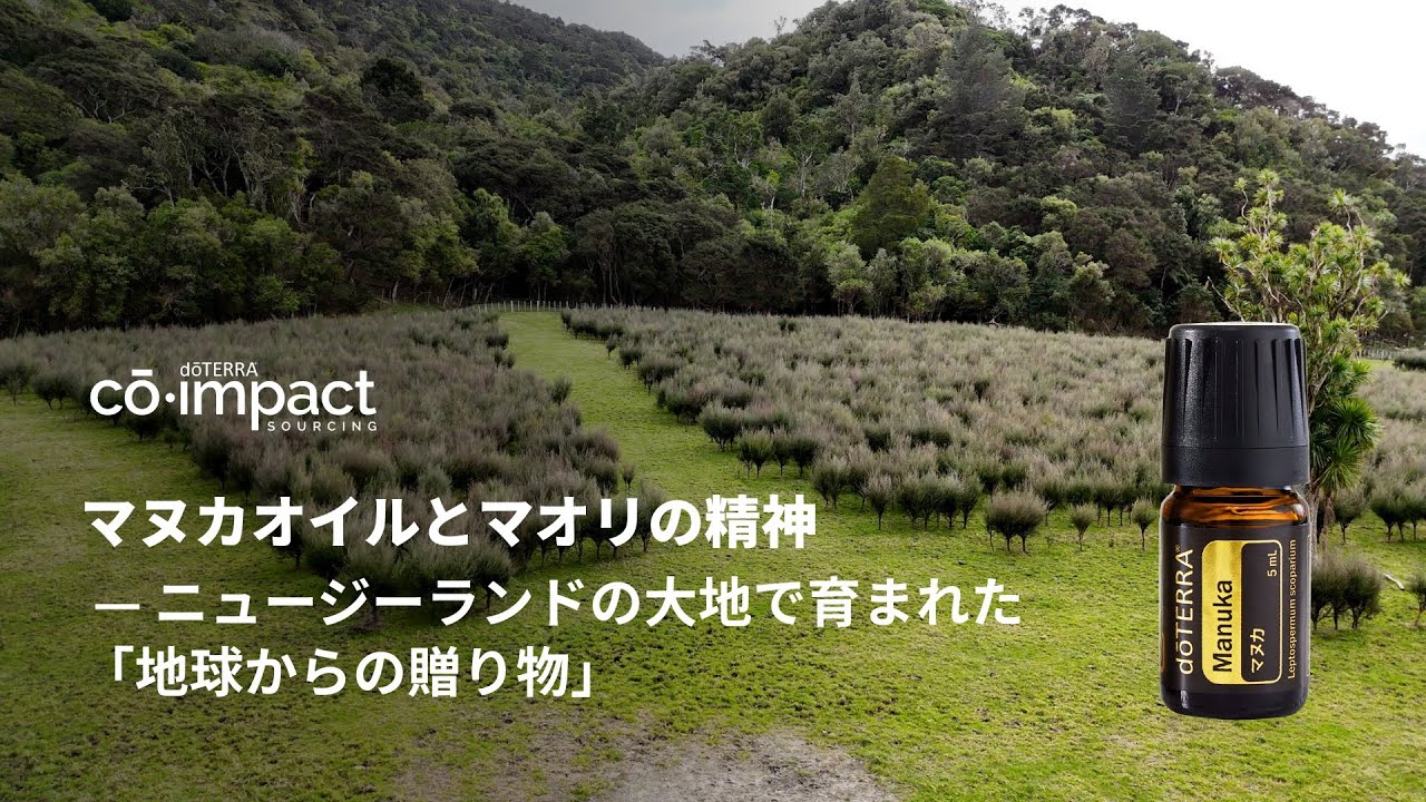 マヌカ - doTERRA TIMES