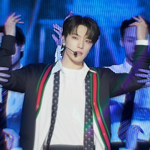 SEVENTEEN ディノ power of love うちわ プレフォト SEVENTEEN