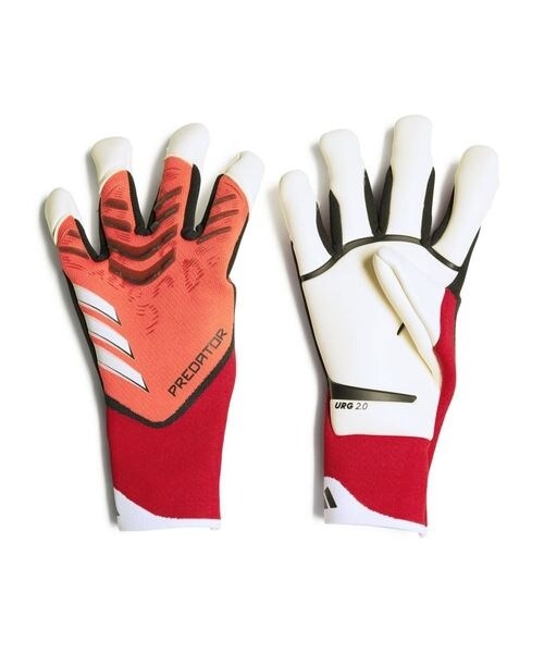 cf020-36126-d01b.jpg?basethum=225