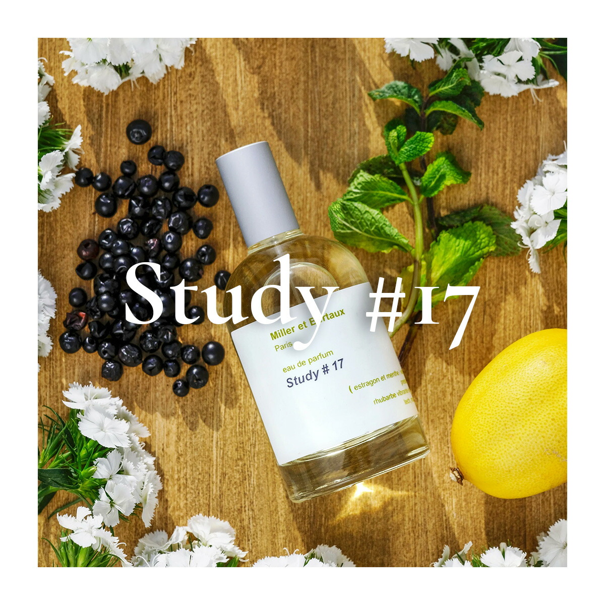 楽天市場】Miller et Bertaux 【オードパルファン香水100ml】 Study#17