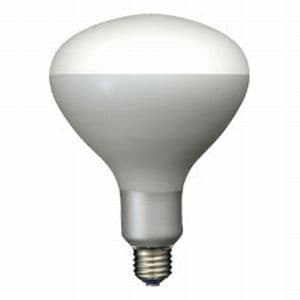 PRF500W (岩崎電気)｜写真照明用アイランプ｜白熱電球｜電材堂【公式】