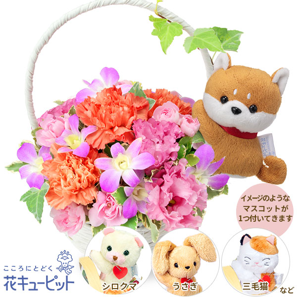 デンファレのマスコット付きバスケット - ペット用フラワーギフト