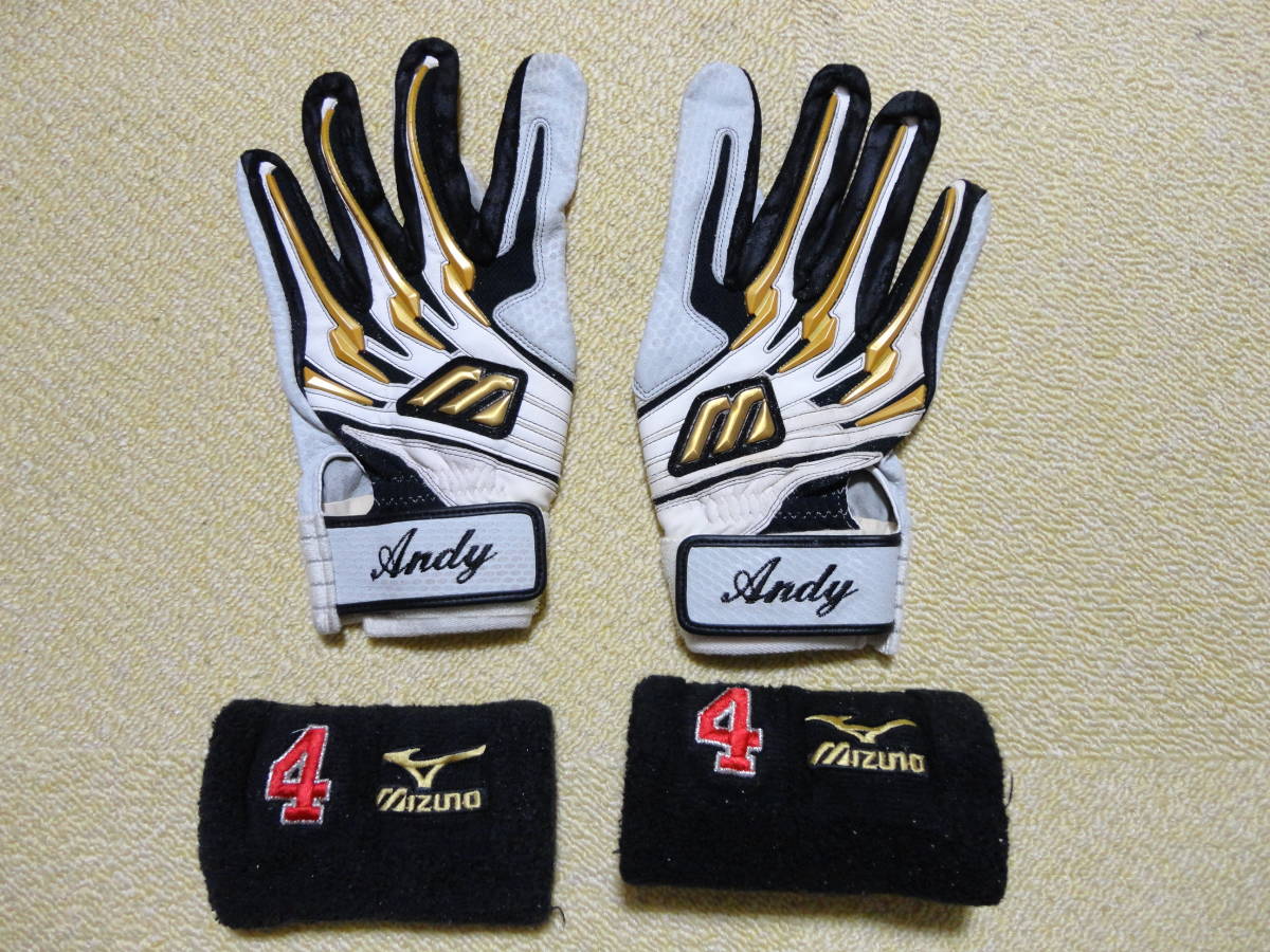 和田一浩 実使用 バッティンググローブ 右手 額装 和田一浩さん