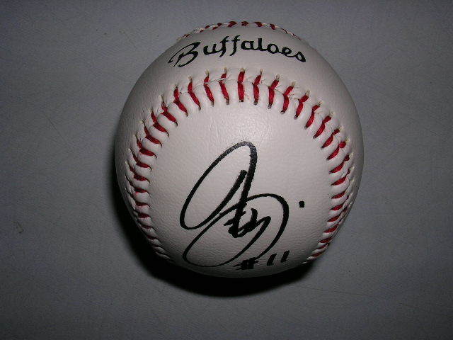 超貴重】野茂英雄／直筆サインボール／1995 MLB オールスターゲーム