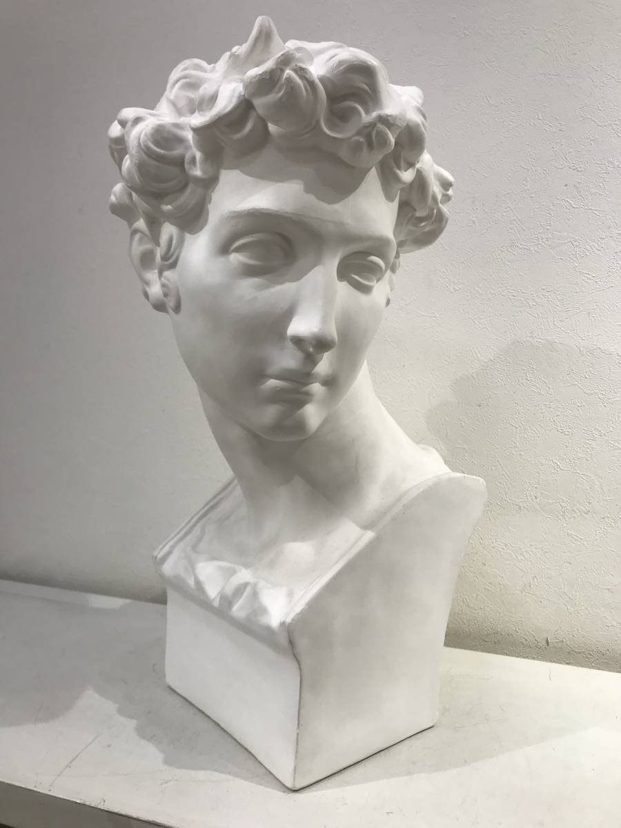 石膏像 メディチ 胸像 美術 スケッチ インテリア HORI SEKKO製