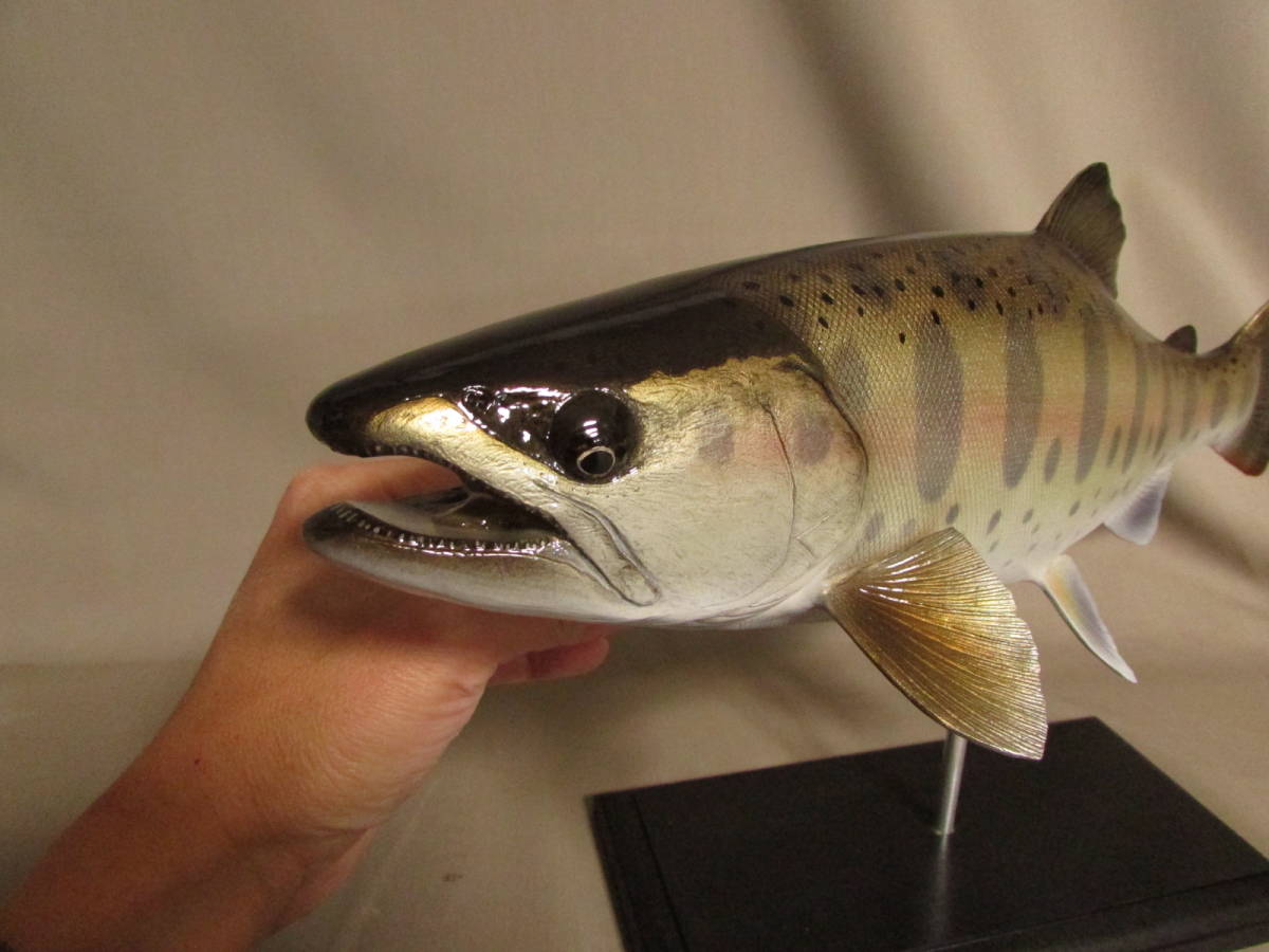 ハンドメイド 39cmヤマメ壁掛け 魚模型 フィギュア レプリカ 釣り