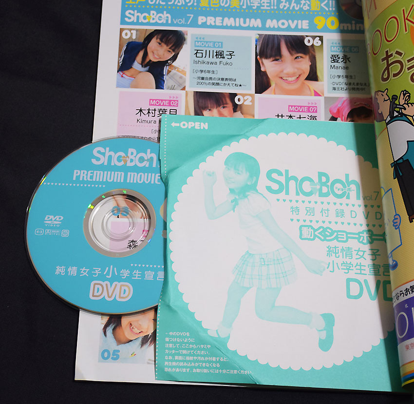海王社ムック ShoBoh ショーボー Vol 29 DVD付き 海王社ムック ShoBoh