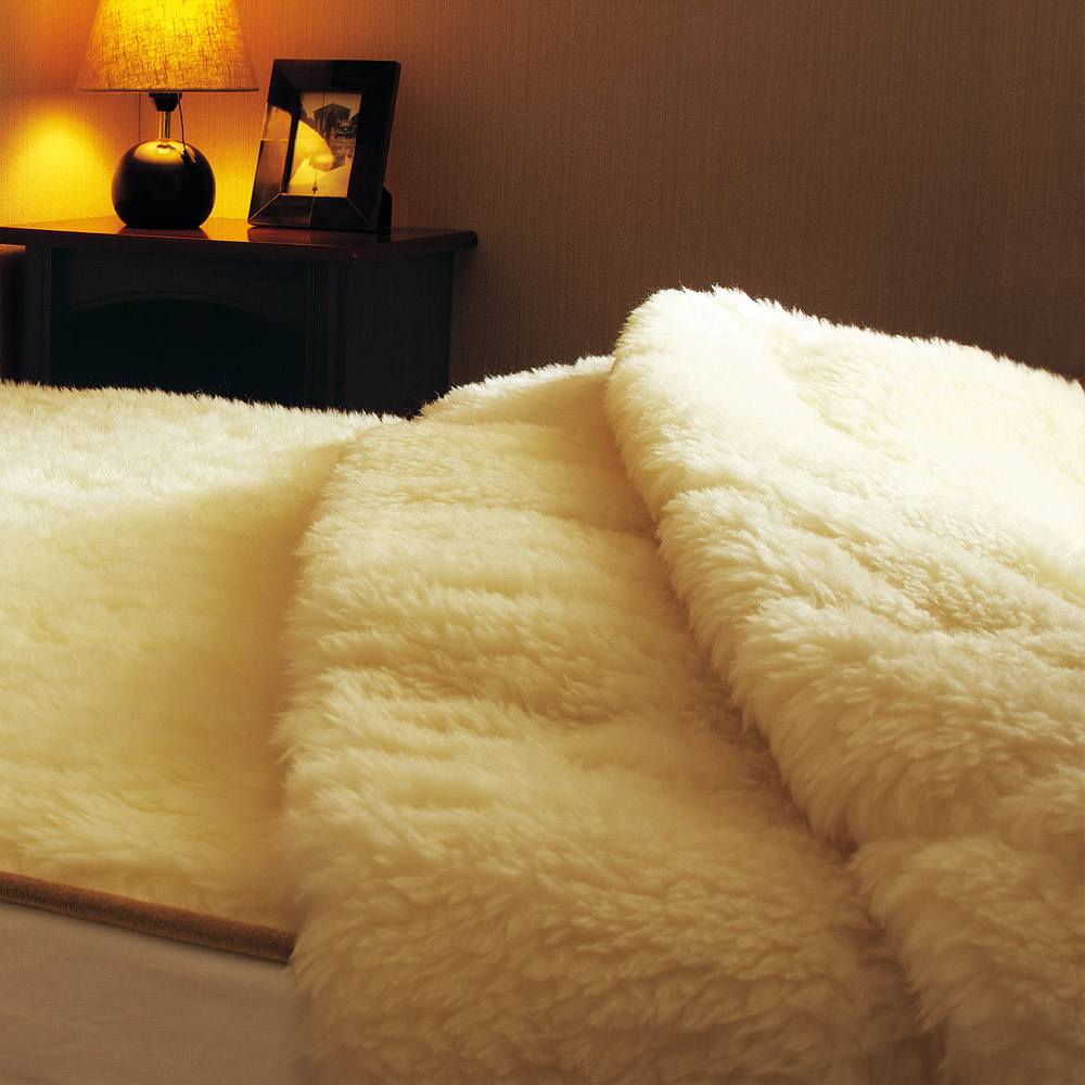 THE PREMIUM Sofwool 2/ザ・プレミアムソフゥール2 掛け毛布 通販