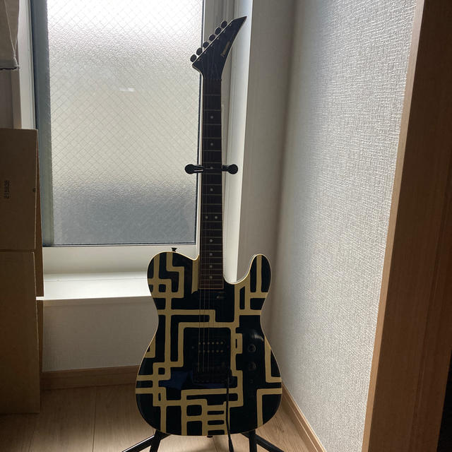 Fernandes - 布袋寅泰モデルフェルナンデスTE-120SHTエレキギター