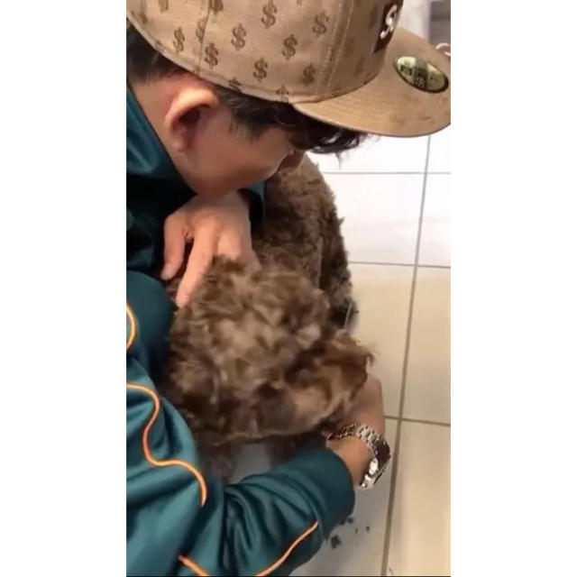 Supreme - 新品 キムタク着 私物 Supreme Box Logo New Era の通販 by