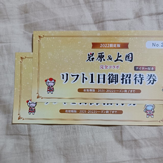 上越国際スキー場 岩原スキー場 ナイター付きリフト券 2枚セット 上国