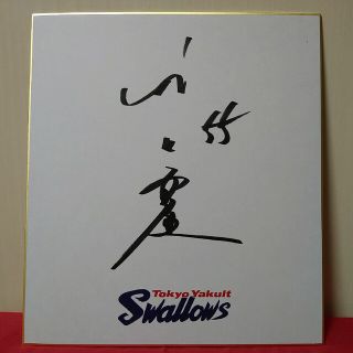 1830563341.jpg?1677314270