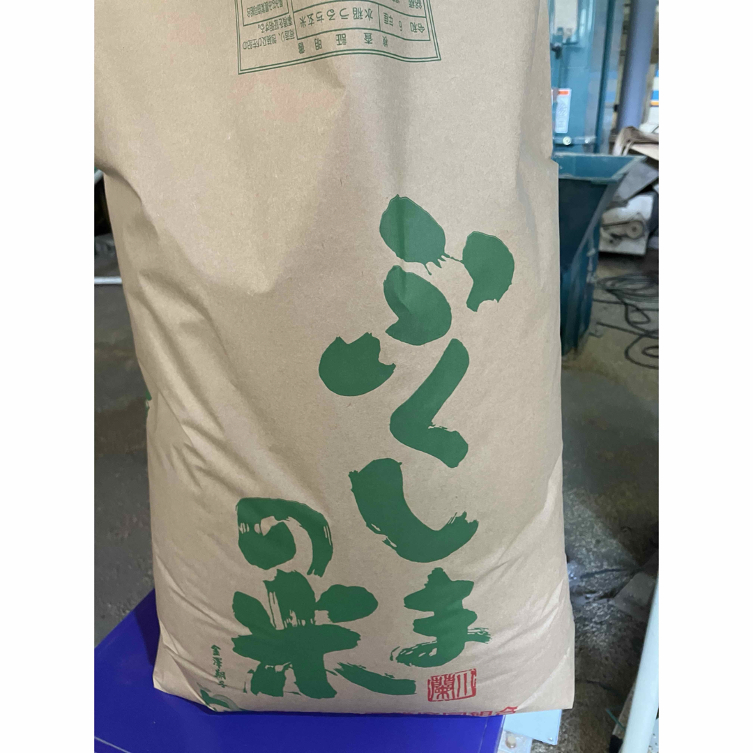 ライオンコーヒー ハワイ 大容量ステンレスボトル 水筒40oz 待望の