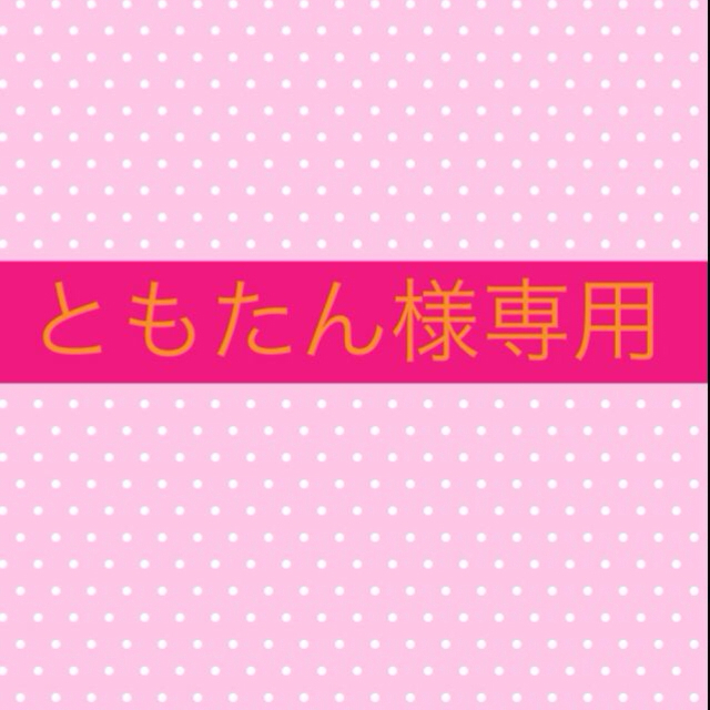 ともたん様専用 ともたん様専用根付け2体3,5センチ