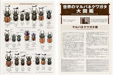 BE-KUWA（ビークワ）のバックナンバー | 雑誌/電子書籍/定期購読の予約