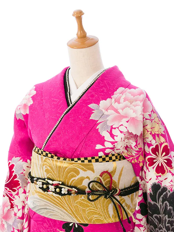 振袖 ・ 成人式 | 振袖（2月～12月利用） | HACA860000